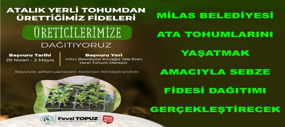 MİLAS BELEDİYESİ ATA TOHUMLARINI YAŞATMAK AMACIYLA SEBZE FİDESİ DAĞITIMI GERÇEKLEŞTİRECEK 