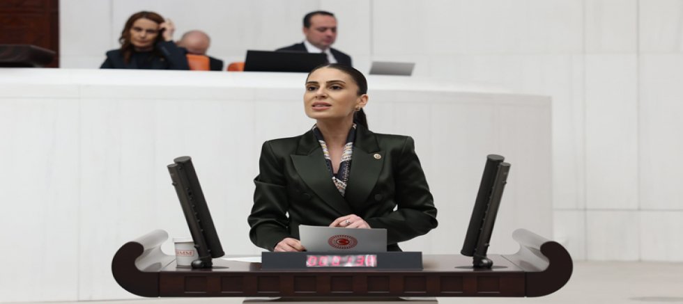 MUĞLA MİLLETVEKİLİ GİZEM ÖZCAN’DAN SİNPAŞ KIZILBÜK PROJESİNE SERT TEPKİ: “HUKUK TANIMAZLIĞA NEDEN MÜDAHALE EDİLMİYOR?”