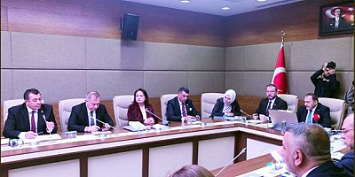 CHP’Lİ ALBAN KOMİSYON TOPLANTISINDA AFAD BAŞKANINI İSTİFAYA ÇAĞIRDI: