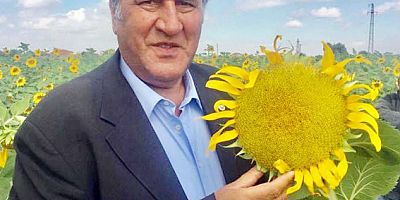 Gürer: “AKP’nin ithalat sevdası, vatandaşı  ayçiçeği yağına muhtaç etti”