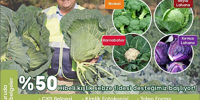 YÜZDE 50 HİBELİ KIŞLIK SEBZE FİDESİ BAŞVURULARI 10 TEMMUZ’DA BAŞLAYACAK…